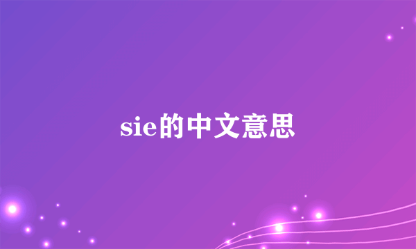 sie的中文意思