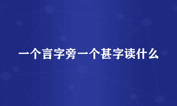一个言字旁一个甚字读什么