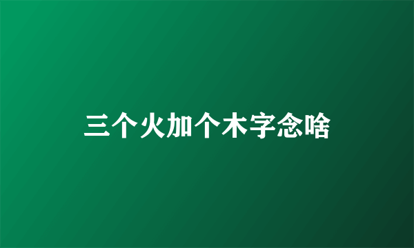 三个火加个木字念啥