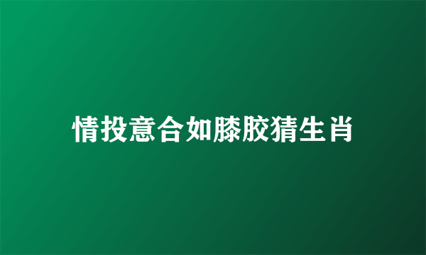 情投意合如膝胶猜生肖
