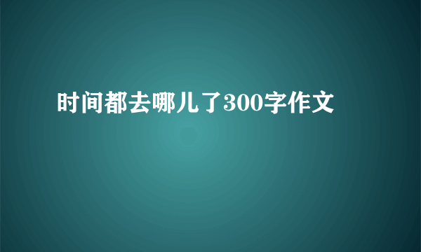 时间都去哪儿了300字作文