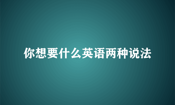 你想要什么英语两种说法
