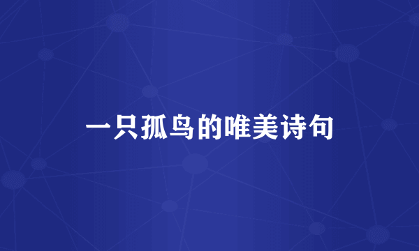 一只孤鸟的唯美诗句