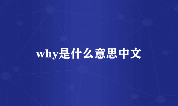why是什么意思中文