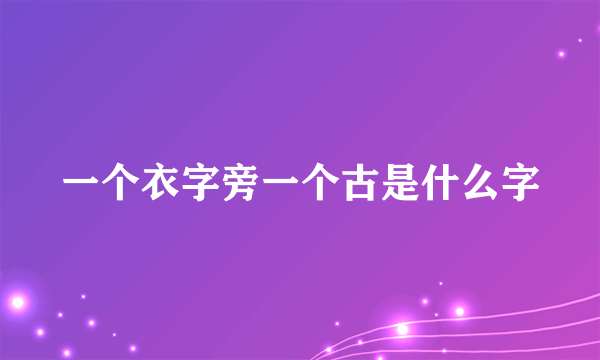 一个衣字旁一个古是什么字