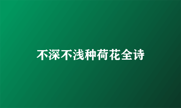 不深不浅种荷花全诗