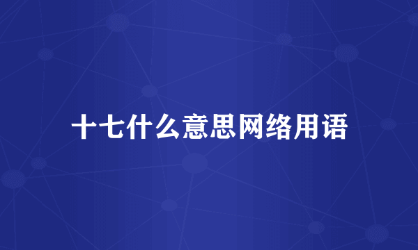 十七什么意思网络用语