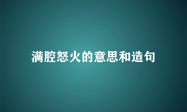 满腔怒火的意思和造句