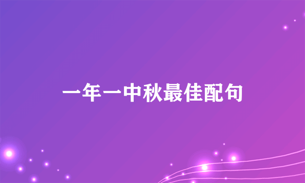 一年一中秋最佳配句