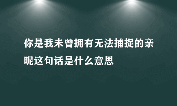 你是我未曾拥有无法捕捉的亲昵这句话是什么意思
