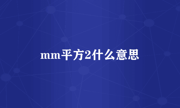 mm平方2什么意思