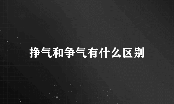 挣气和争气有什么区别
