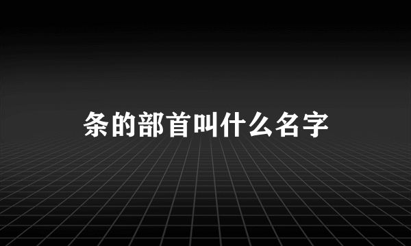 条的部首叫什么名字