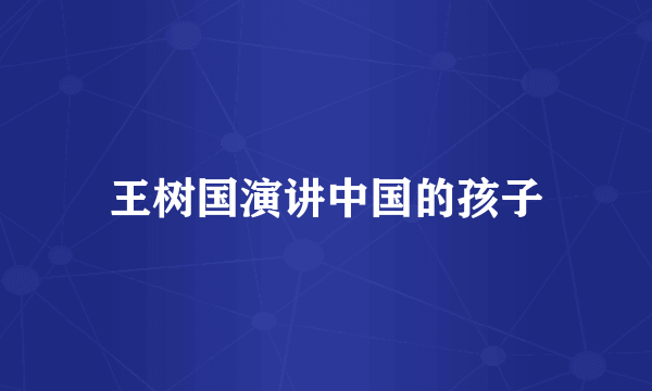 王树国演讲中国的孩子