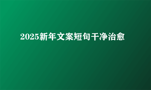 2025新年文案短句干净治愈