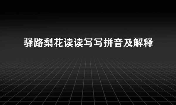 驿路梨花读读写写拼音及解释