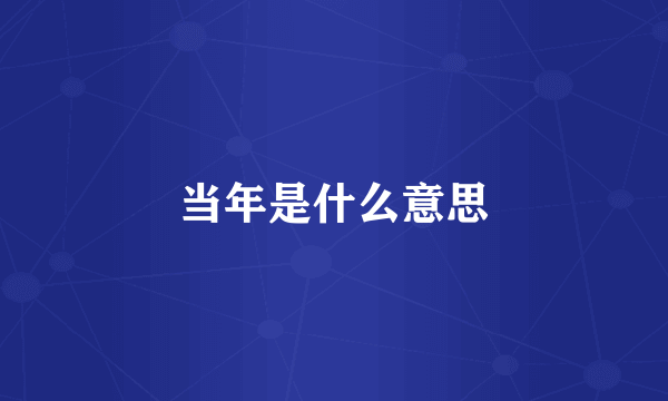 当年是什么意思