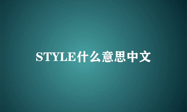 STYLE什么意思中文