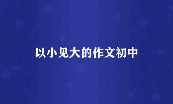 以小见大的作文初中