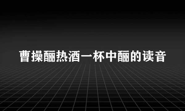 曹操酾热酒一杯中酾的读音