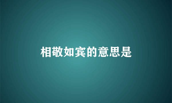 相敬如宾的意思是