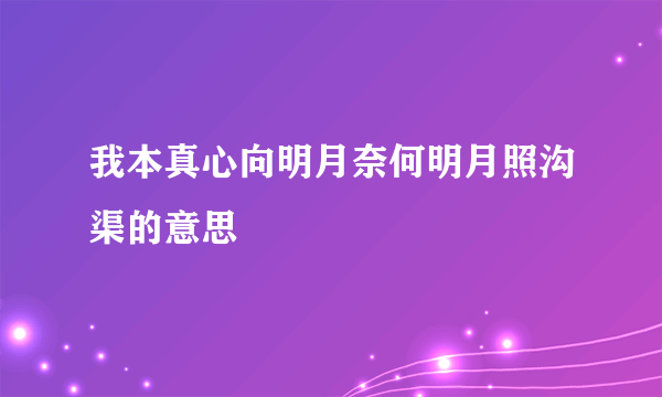 我本真心向明月奈何明月照沟渠的意思