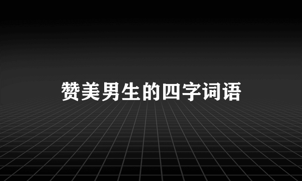 赞美男生的四字词语