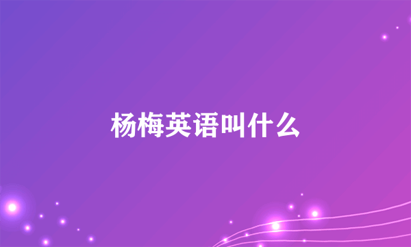 杨梅英语叫什么