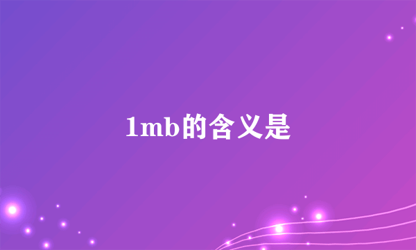 1mb的含义是
