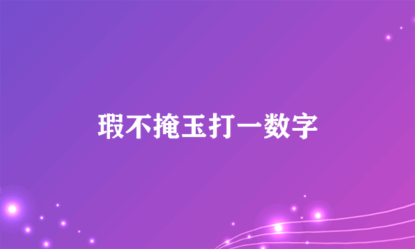 瑕不掩玉打一数字