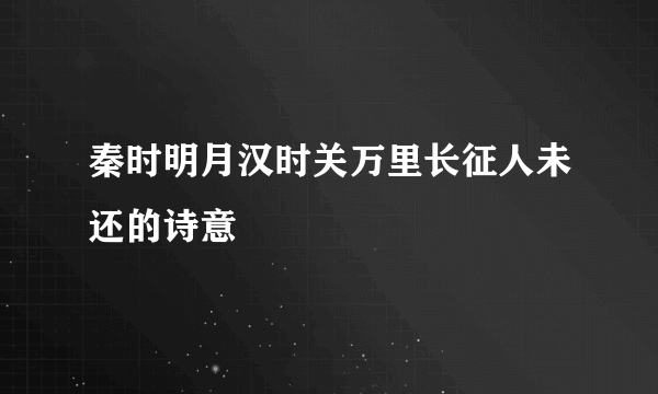 秦时明月汉时关万里长征人未还的诗意