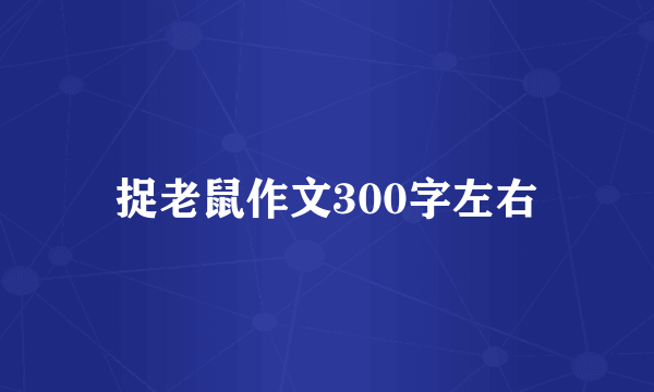 捉老鼠作文300字左右