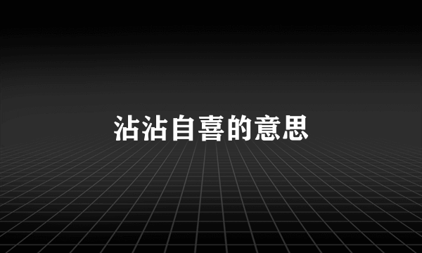 沾沾自喜的意思