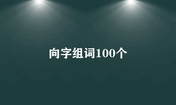 向字组词100个