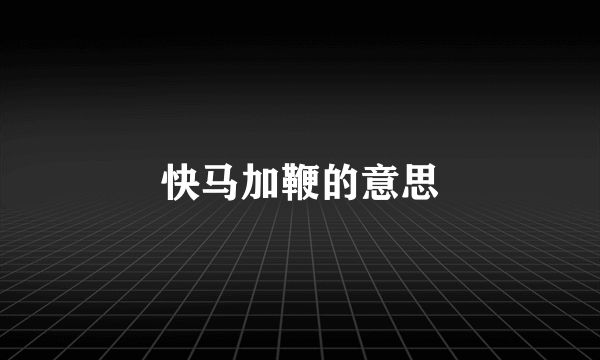 快马加鞭的意思