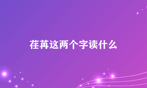 荏苒这两个字读什么