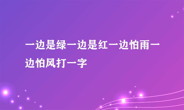 一边是绿一边是红一边怕雨一边怕风打一字