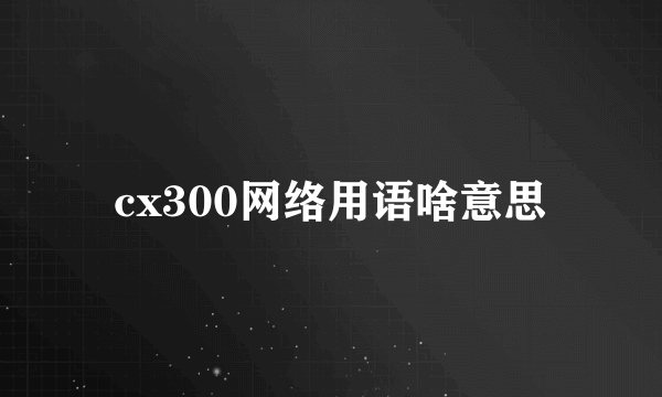 cx300网络用语啥意思
