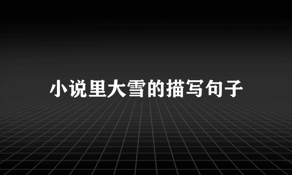 小说里大雪的描写句子