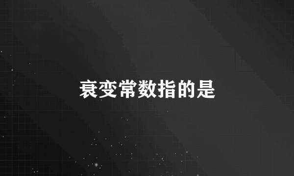 衰变常数指的是