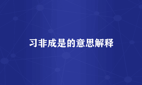 习非成是的意思解释