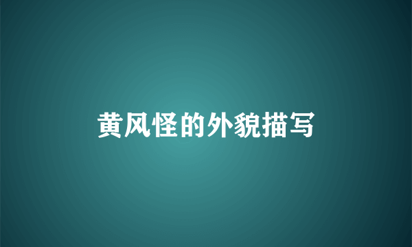 黄风怪的外貌描写