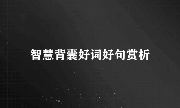 智慧背囊好词好句赏析