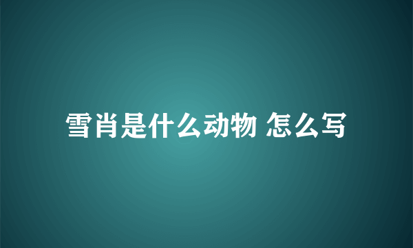 雪肖是什么动物 怎么写