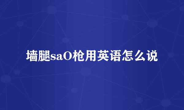墙腿saO枪用英语怎么说