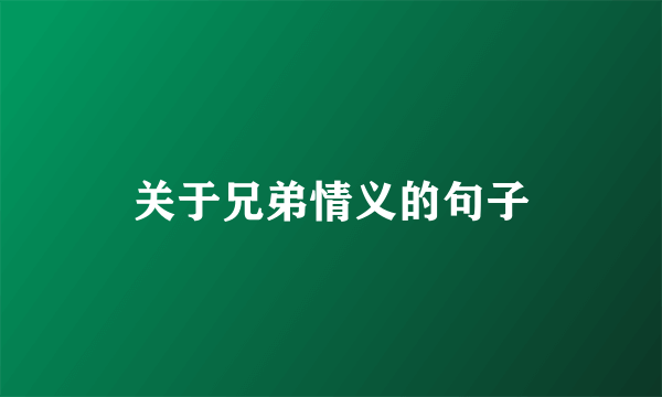 关于兄弟情义的句子