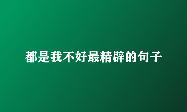 都是我不好最精辟的句子