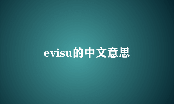 evisu的中文意思