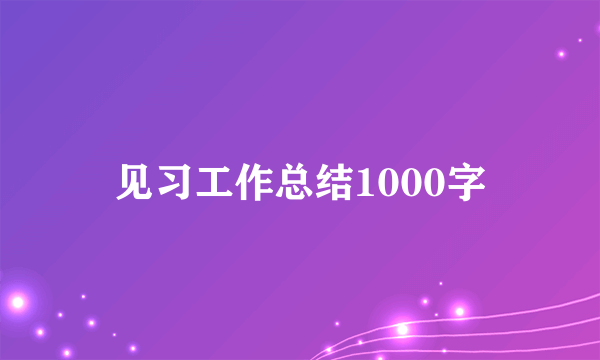 见习工作总结1000字