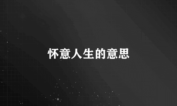 怀意人生的意思